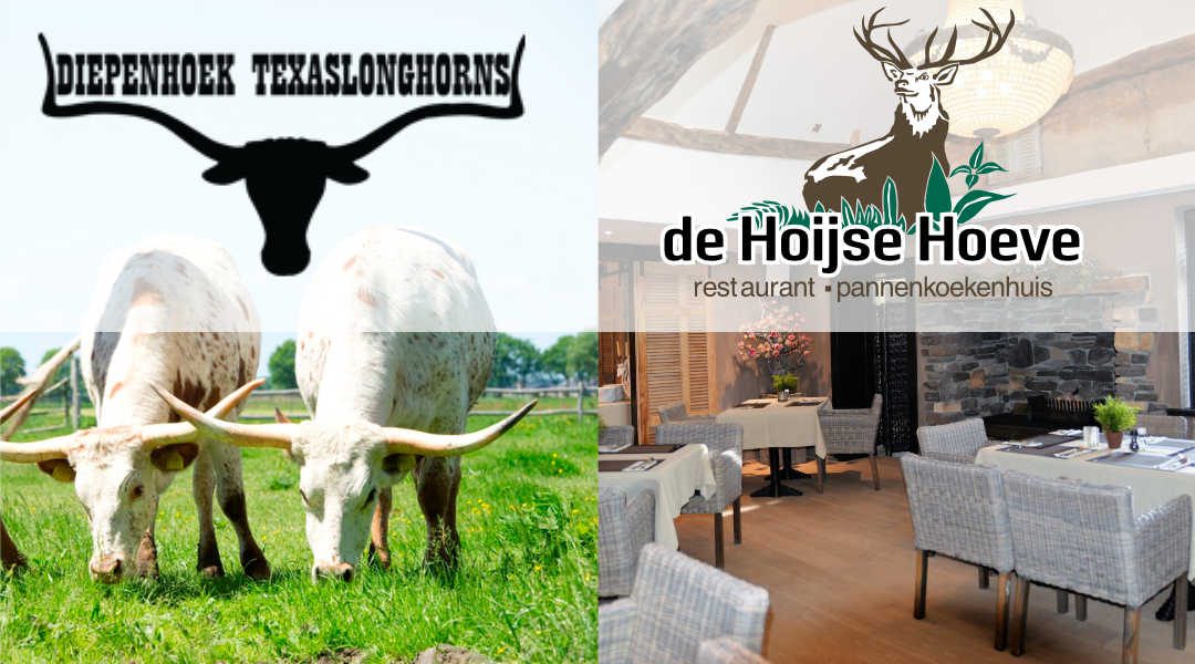 Longhorns & Texas style Roost